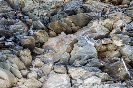 Photo textured stone of different colors