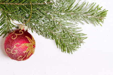 Christmas ball hanging on red green spruce branchの写真素材