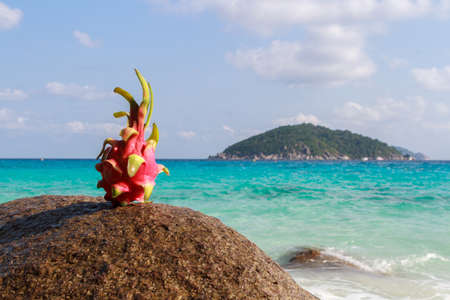Dragon fruit on sand against turquoise water. Tropical summer vacation concept. Similan Islands Thailand.の写真素材