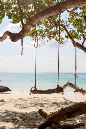 Beautiful tropical island beach with swing Koh Kood Trat Thailandの写真素材