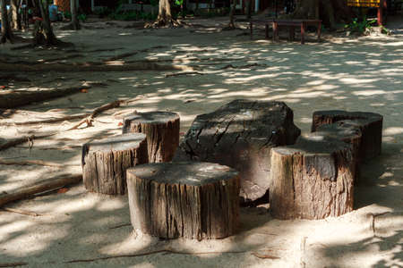 Wooden stumps on the sandy beach at Similan Islands
