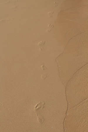 Footsteps left behind in the sand at sunset.の写真素材