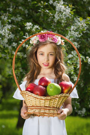 Girl with curls in a white dress, holding a basket full of apples. Outdoors. The summer mood.の写真素材