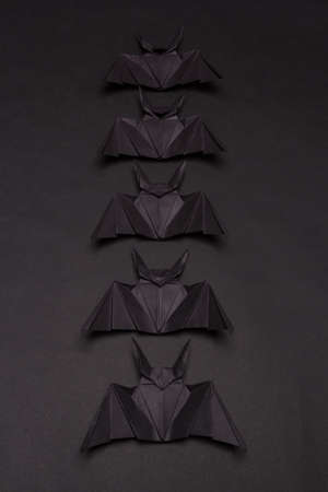 Halloween Background. Black background. Black batsの写真素材