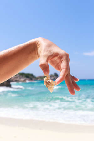 hermit crab on hand at Lipe island thailandの写真素材