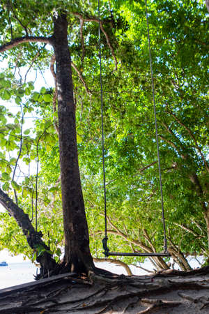 White sand beach wooden swing tranquil relax beautiful sea. Thailand Similan Islands.の写真素材