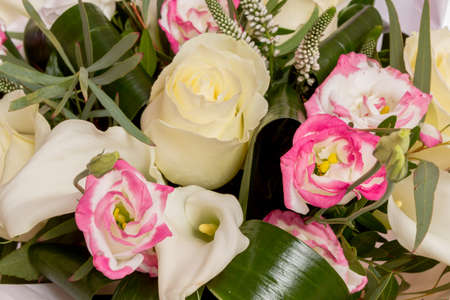 Composition of fresh flowers, isolated backgroundの写真素材