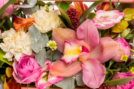 Composition of fresh flowers, isolated background