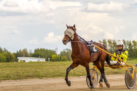 Russia, Novosibirsk, September 5, 2015: Horse racing at the racetrack. City competitions.のeditorial素材