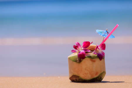 Coconut at the beachの写真素材