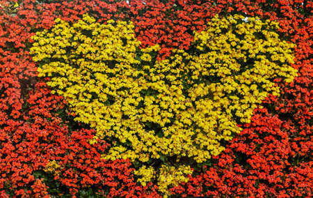 Heart-shaped floral arrangement,Valentine's dayの写真素材