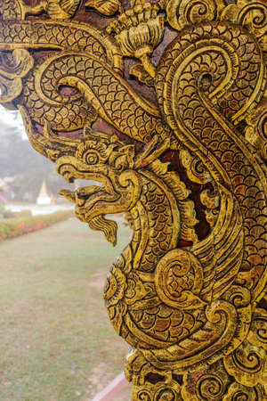 The serpent one of the 12 zodiac based on the belief of the people of Asia. This is the year that represents destiny and lifestyle.の写真素材