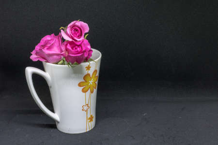 Pink roses in a cup by black background.の写真素材