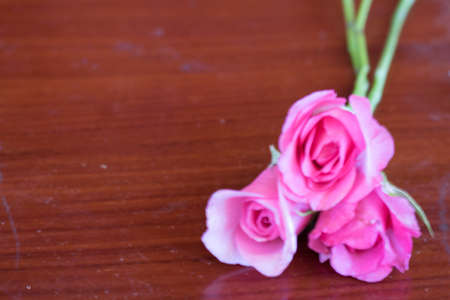 Pink roses on wooden table for valentine's day.の写真素材