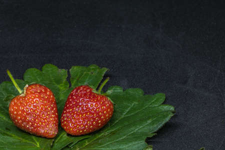 Fresh Strawberry on the black background.の写真素材