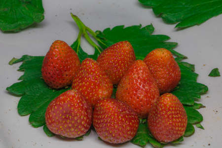 Fresh Strawberry on the black background.の写真素材
