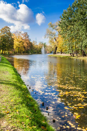 Autumn in a city parkの写真素材