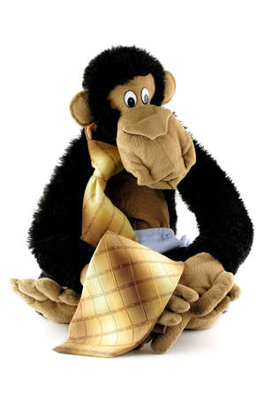 Ape with a tieの写真素材