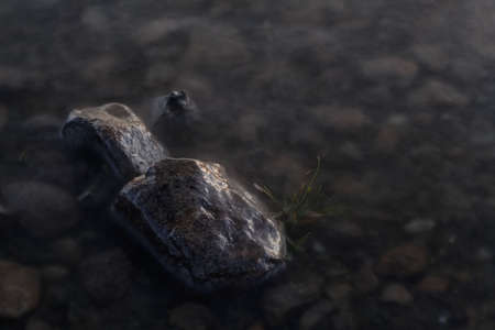 Dark Waterの写真素材