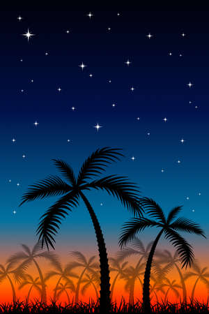 Tropical Nightのイラスト素材