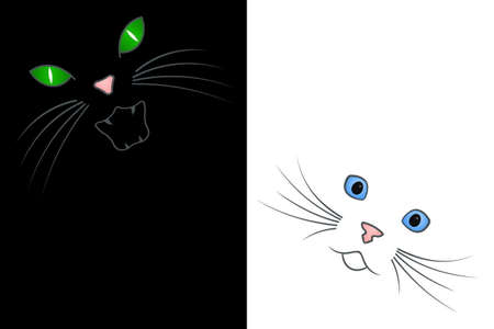 Black and Whiteのイラスト素材