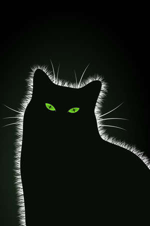 The Black Catのイラスト素材