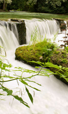 Munich English Gardenの写真素材