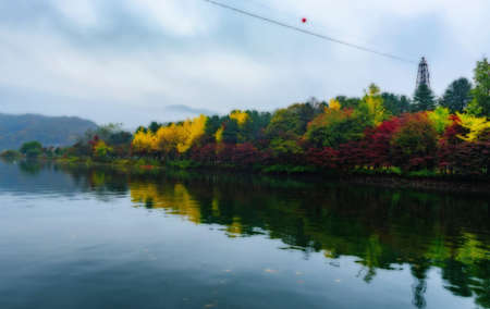 Nami island in autumn of Korea.の写真素材
