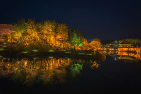 Reflection of Beautiful tree park at ningth in Gyeongjuのeditorial素材