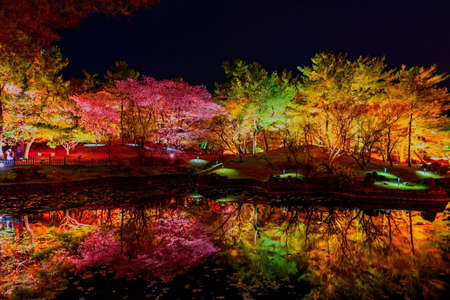 Reflection of Beautiful tree park at ningth in Gyeongjuのeditorial素材