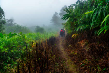 Hiking trails on the visit of the natural Phu Chi Fa in Chiang Rai.の写真素材