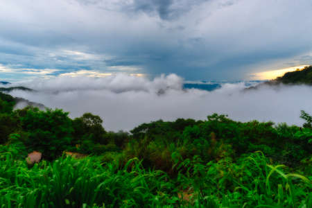 mountain and Mist at Doi Pha Bears in chiang rai thailand.の写真素材