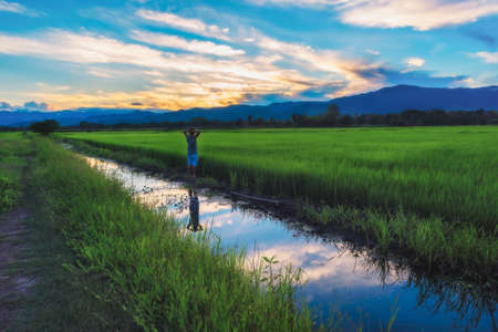 This man stands at the sky paddy.の写真素材