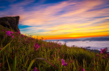 Landscape of Light morning sun with fog on Phu chee Fa in Chiang Rai, Thailand.の写真素材