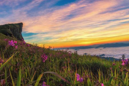 Landscape of Light morning sun with fog on Phu chee Fa in Chiang Rai, Thailand.の写真素材