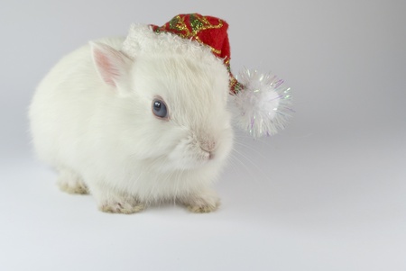 white metal rabbit bunny Santaの写真素材