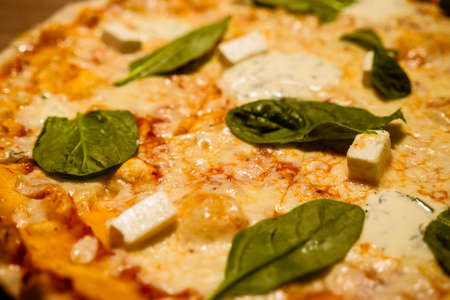 Three cheese thin crust freshly baked pizza with basil leaves on top on a wooden table close-up...