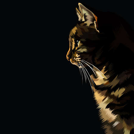 Colorful Cat in Pop Art Styleのイラスト素材