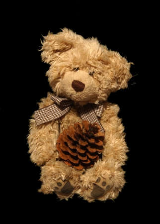 Cute teddy bear with pine cone isolated on black background の写真素材