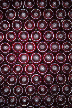 Lots of wine bottles in a wine-cellarの写真素材