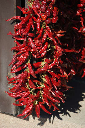 Big bunch of red hot chili pepper outdoorsの写真素材