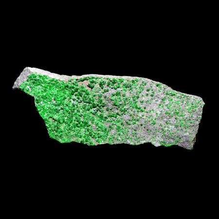 Green garnet (uvarovite) druse on black backgroundの写真素材