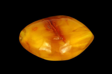 Baltic amber closeup on black backgroundの写真素材