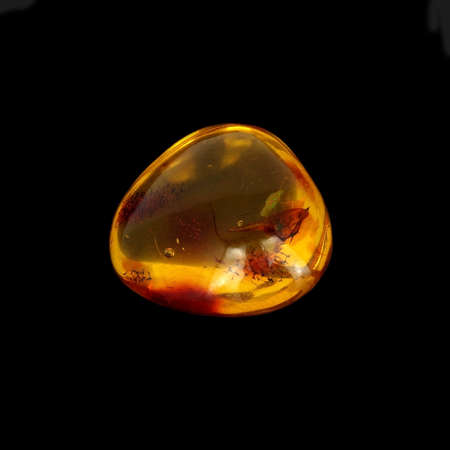 Baltic amber closeup on black backgroundの写真素材