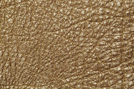 The texture of genuine golden leather closeupの写真素材