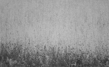 Grunge, black and white texture, wall, concrete, can be used as a backgroundの写真素材