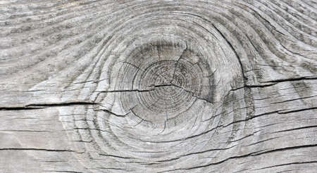 Texture of gray old pine board with knot pattern and cracksの写真素材