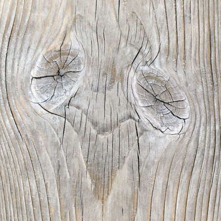 Natural texture of gray vintage pine board with fancy knot patterns looks like a faceの写真素材