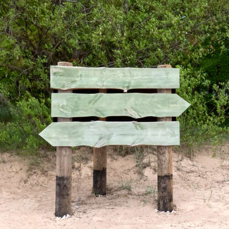 Signpost standing in the sand against a background of greenery, three empty boards, you can write any textの写真素材