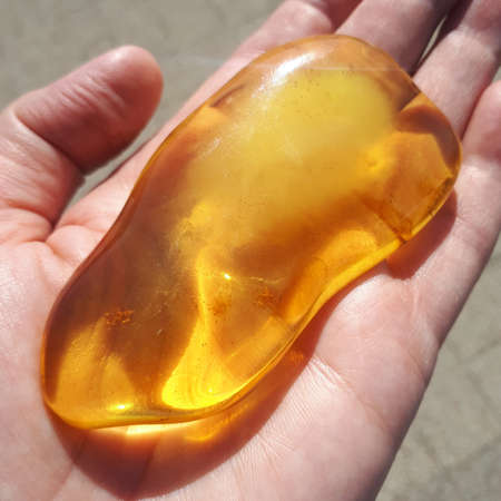 A huge piece of very high quality transparent natural Baltic amber on the palm close-upの写真素材